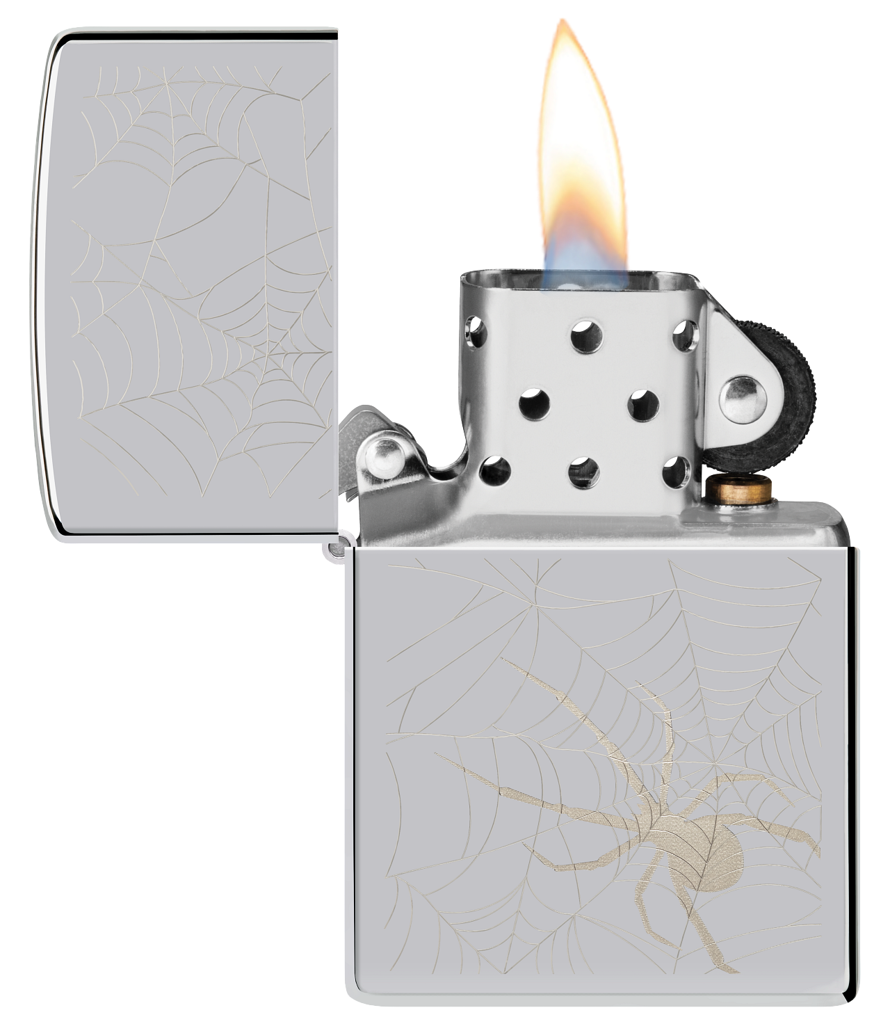 Spider Web Design