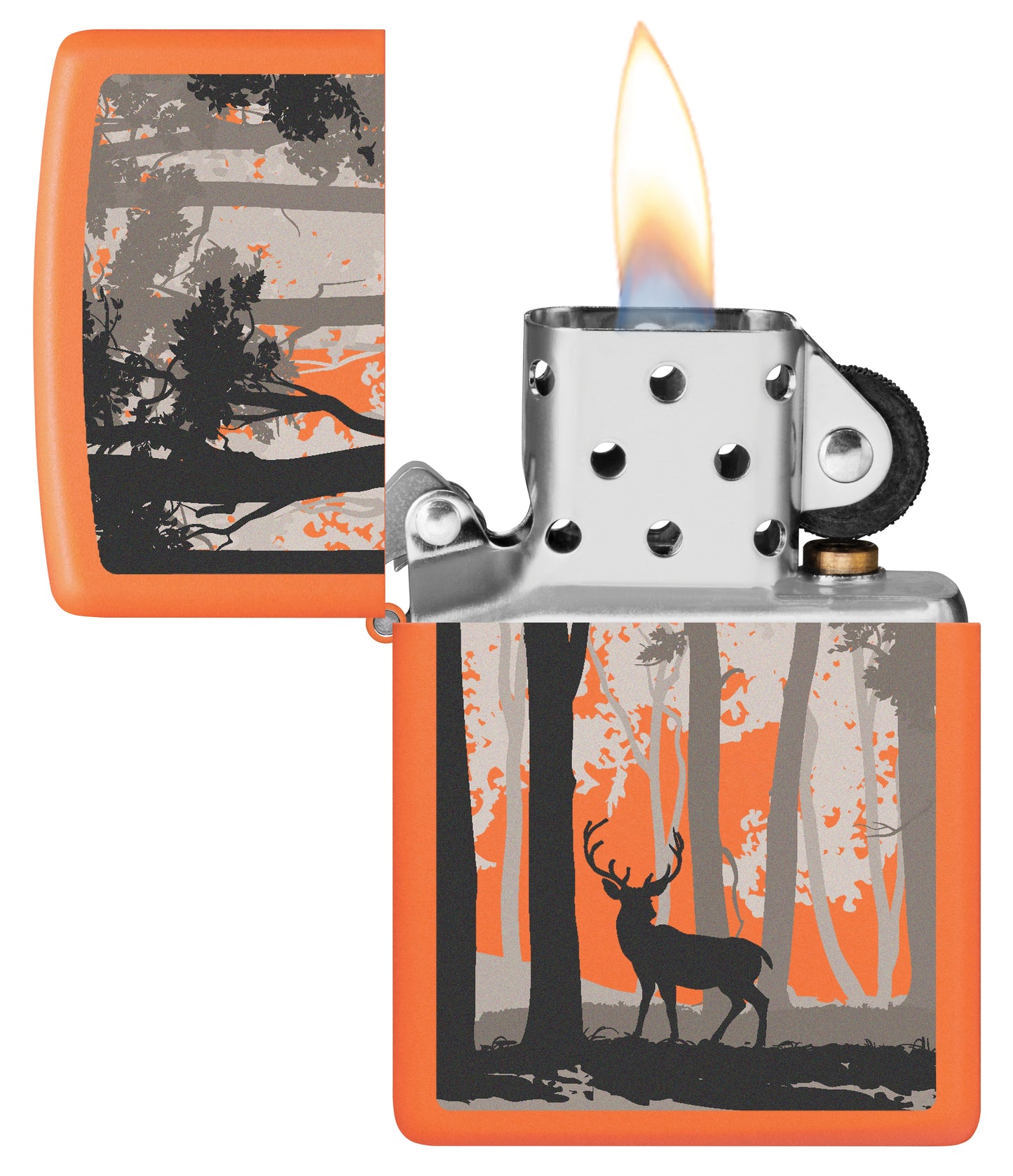 Deer in Forest