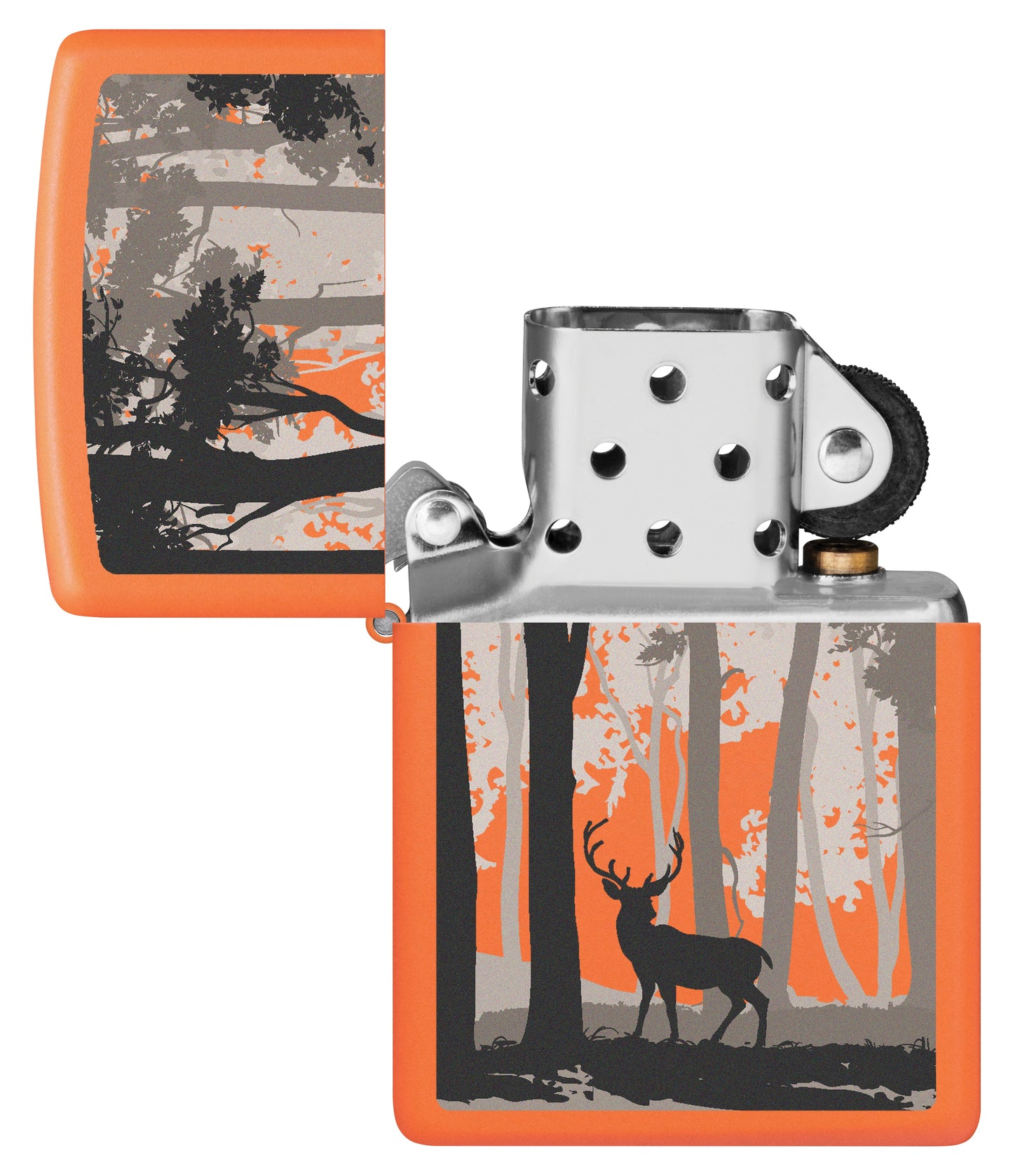 Deer in Forest