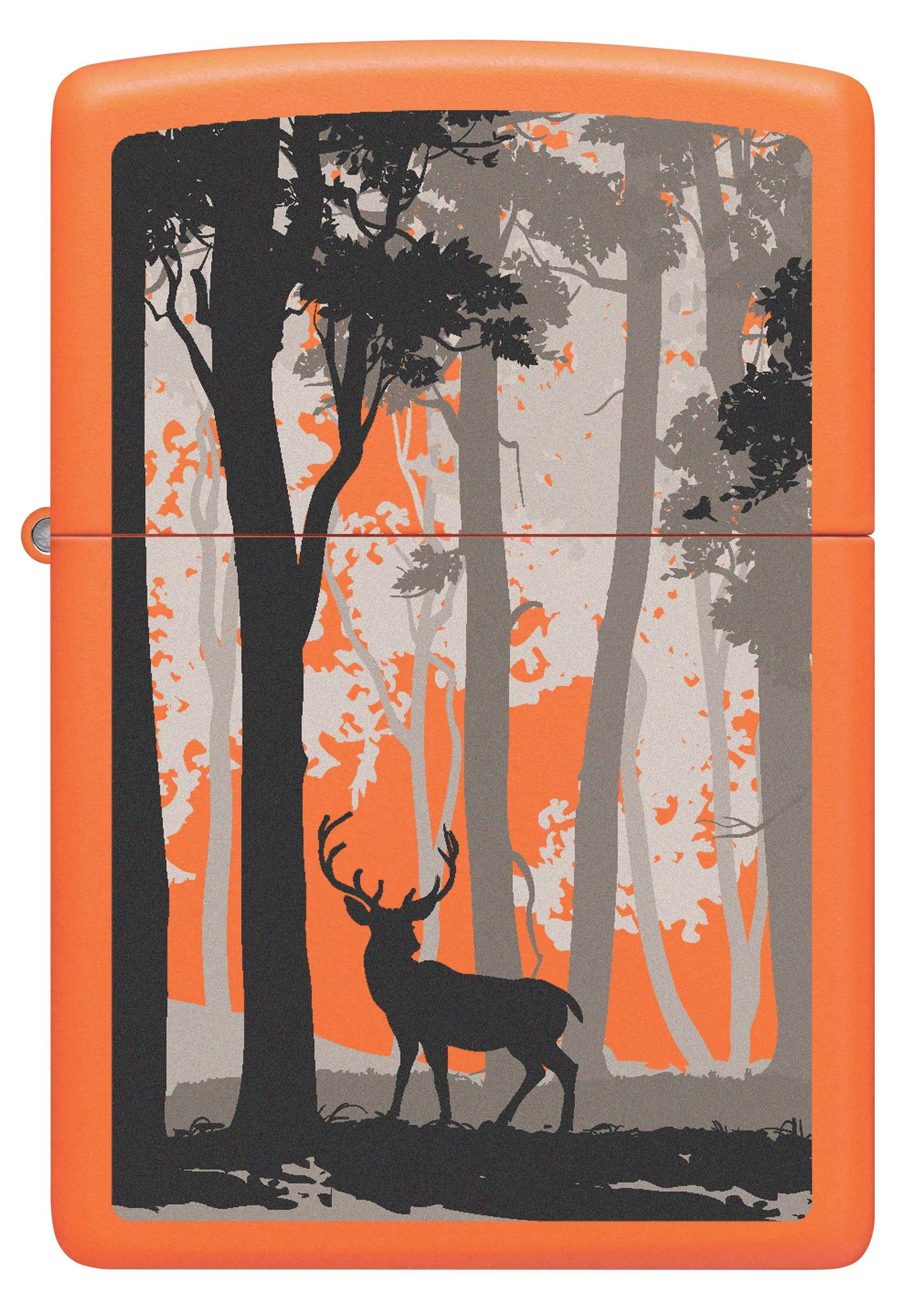 Deer in Forest