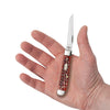 Chestnut Bone Standard Jigged Mini Trapper Knife