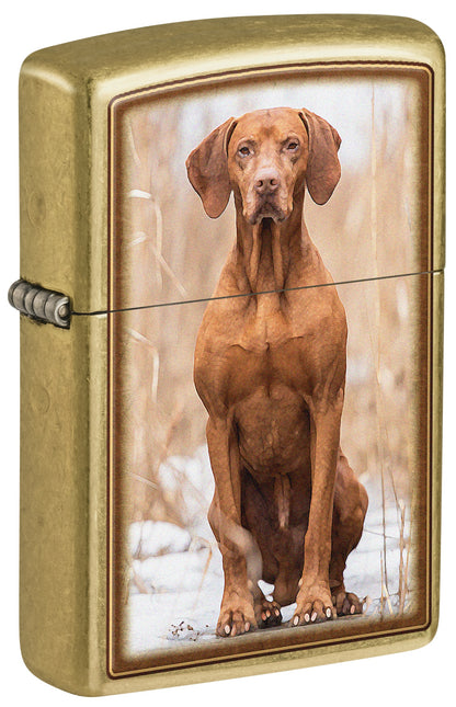 Vizsla Design