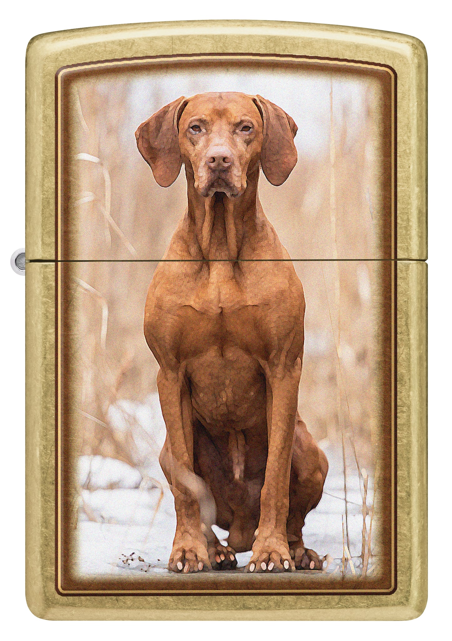 Vizsla Design