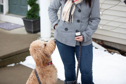 Lifestyle Image of woman holding a 6-Hour Refillable Hand Warmer, outside walking her dog