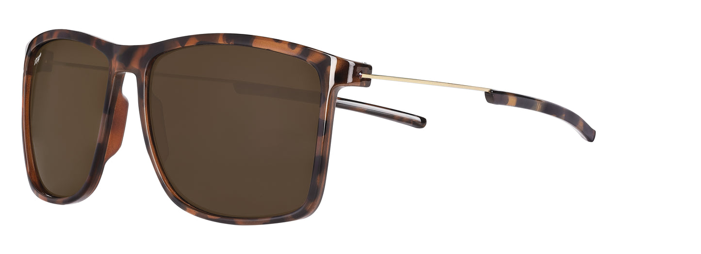 Classic Sunglasses with Metal Temple